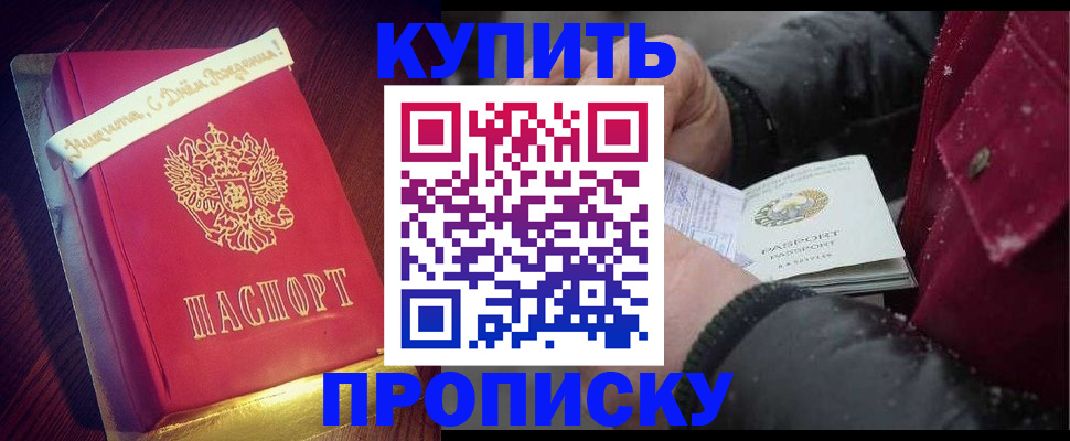 прописка гарантия в Мончегорске